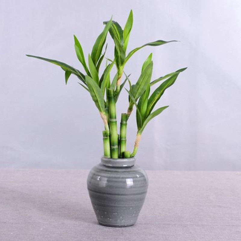 Nouveau 40cm rFtificial chance - Desk Setup Plants avis et prix
