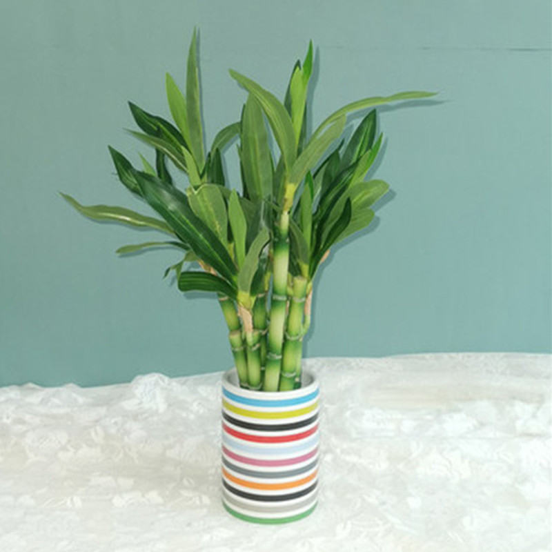 Nouveau 40cm rFtificial chance - Desk Setup Plants avis et prix