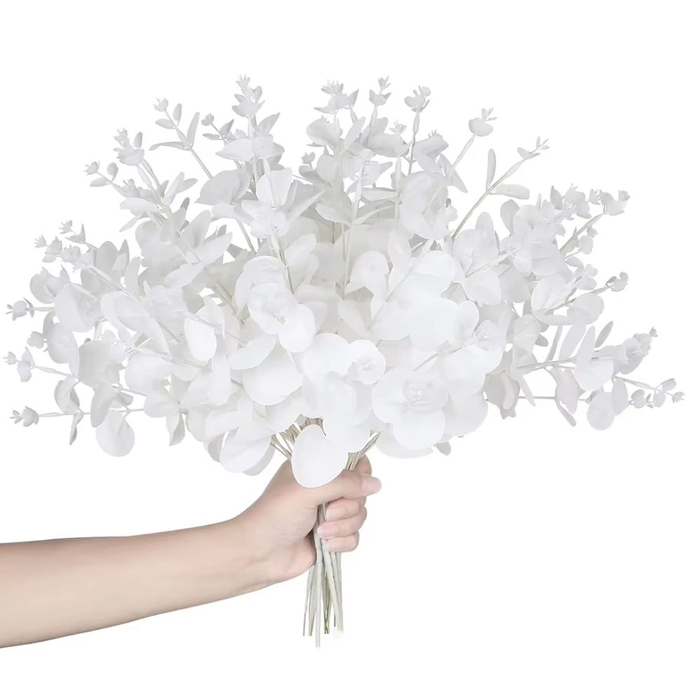 4 fourchettes d'argent feuille - Desk Setup Plants avis et prix