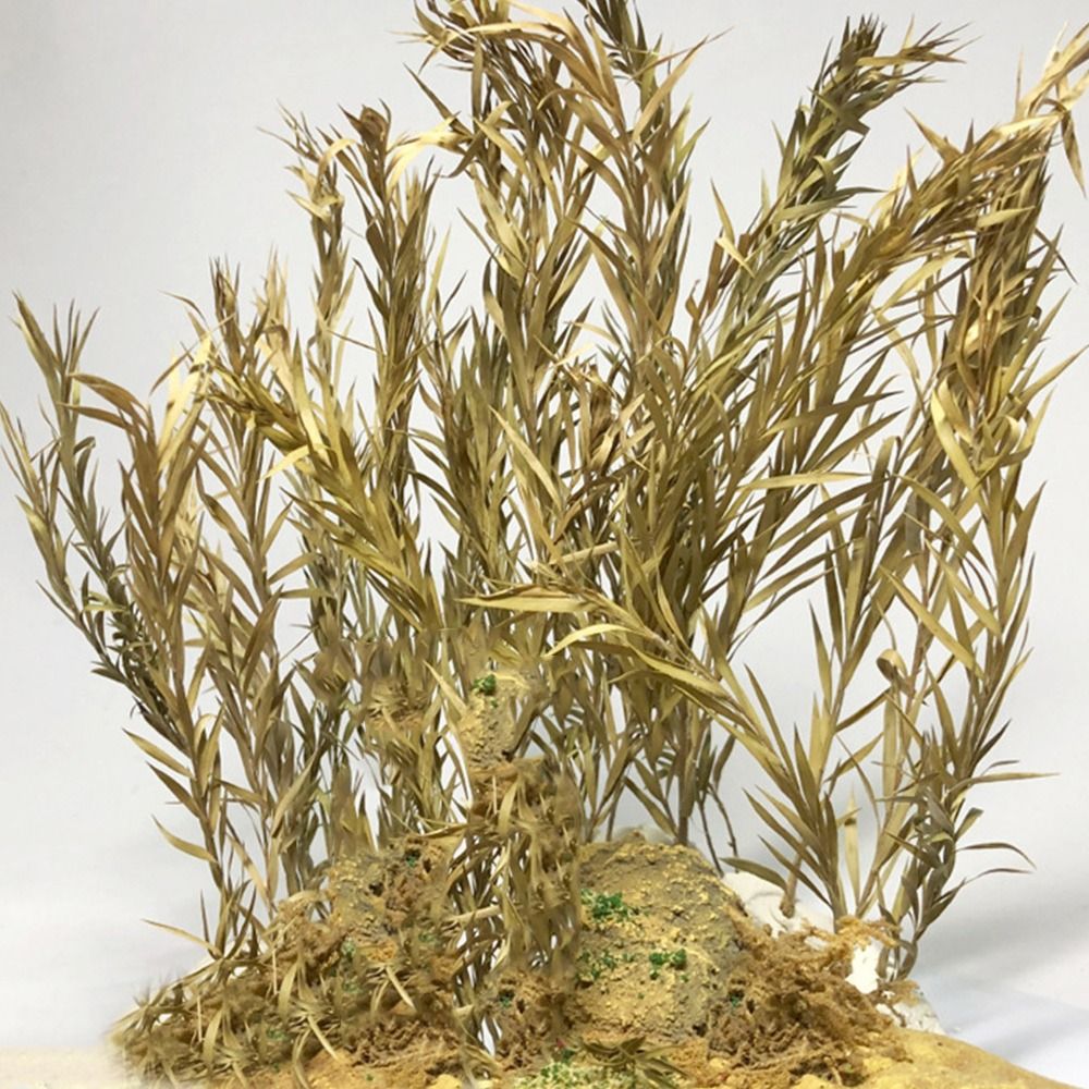 Modèle de scène de paysage de  - Desk Setup Plants avis et prix