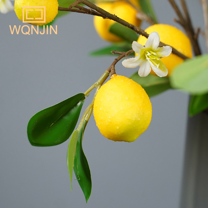 Branches de citron avec simula - Desk Setup Photo avis et prix