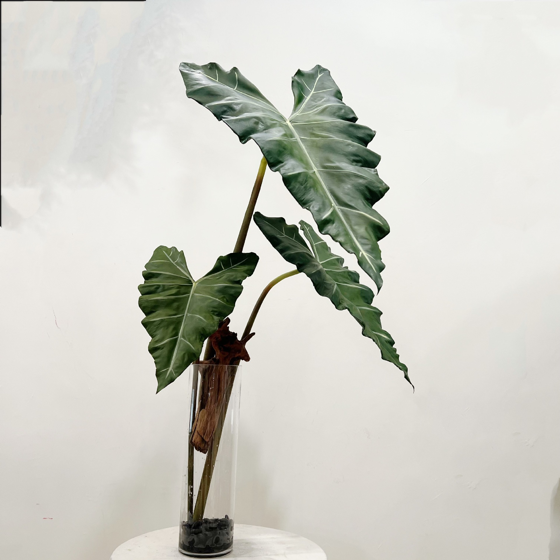 Plante verte en PU simulée, se - Desk Setup Plants avis et prix